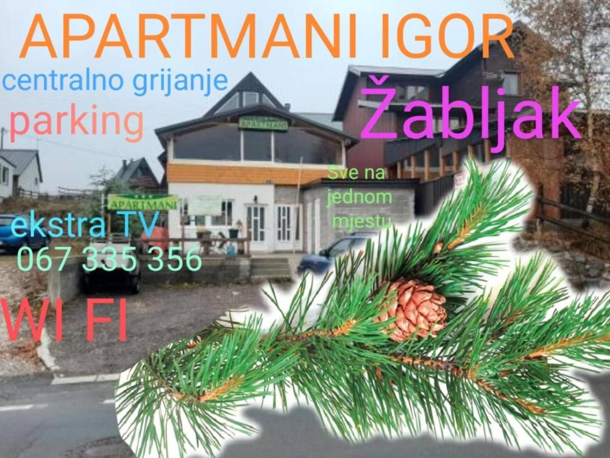 Apartments Igor Žabljak Kültér fotó